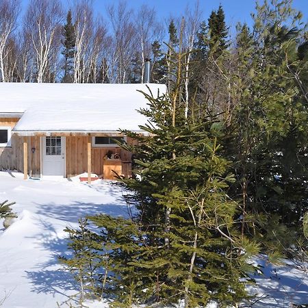 The Sleeping Moose Cottage Birch Plain Buitenkant foto