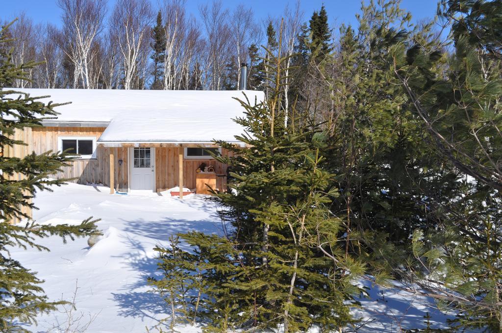 The Sleeping Moose Cottage Birch Plain Buitenkant foto