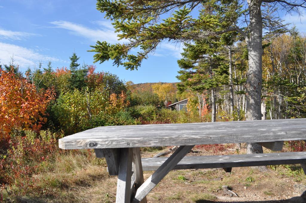 The Sleeping Moose Cottage Birch Plain Buitenkant foto