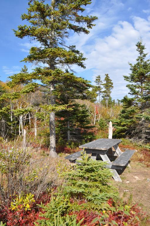 The Sleeping Moose Cottage Birch Plain Buitenkant foto