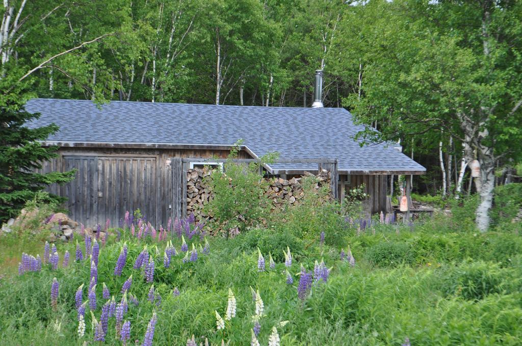 The Sleeping Moose Cottage Birch Plain Buitenkant foto